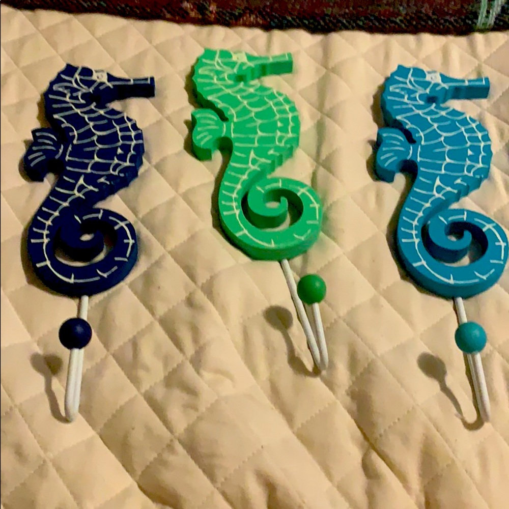 Seahorse hooks beautiful